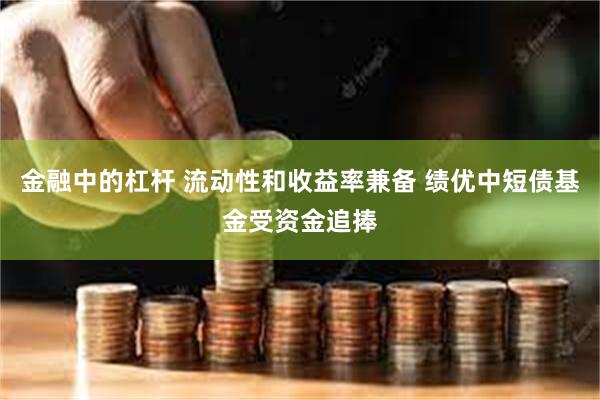 金融中的杠杆 流动性和收益率兼备 绩优中短债基金受资金追捧