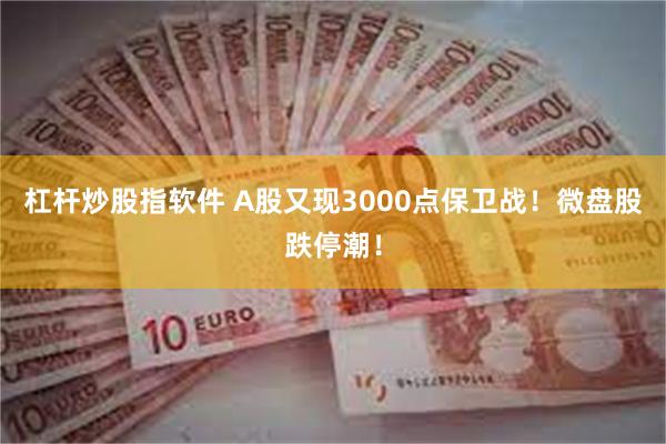 杠杆炒股指软件 A股又现3000点保卫战！微盘股跌停潮！