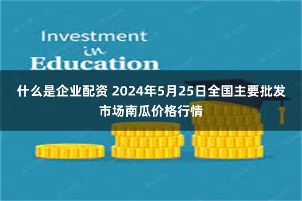 什么是企业配资 2024年5月25日全国主要批发市场南瓜价格行情