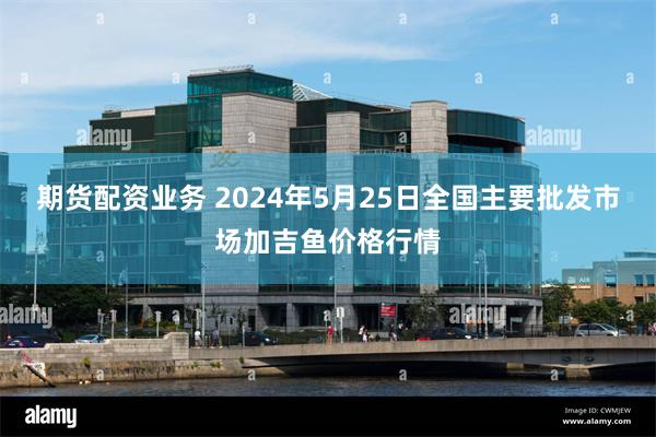 期货配资业务 2024年5月25日全国主要批发市场加吉鱼价格行情