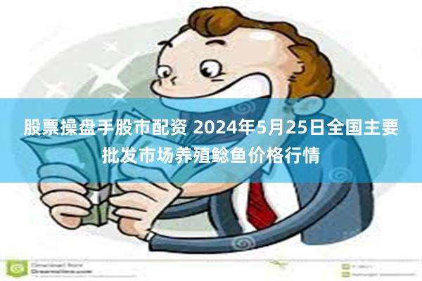 股票操盘手股市配资 2024年5月25日全国主要批发市场养殖鲶鱼价格行情