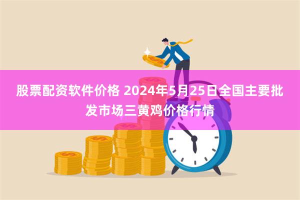 股票配资软件价格 2024年5月25日全国主要批发市场三黄鸡价格行情