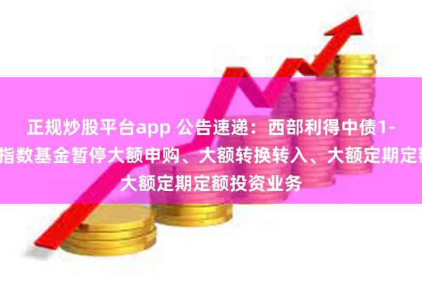 正规炒股平台app 公告速递：西部利得中债1-3年政金债指数基金暂停大额申购、大额转换转入、大额定期定额投资业务