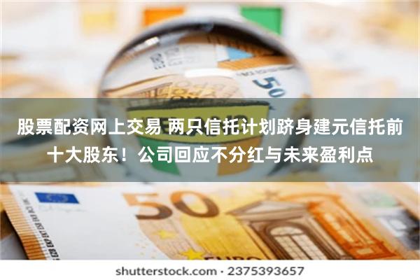 股票配资网上交易 两只信托计划跻身建元信托前十大股东！公司回应不分红与未来盈利点