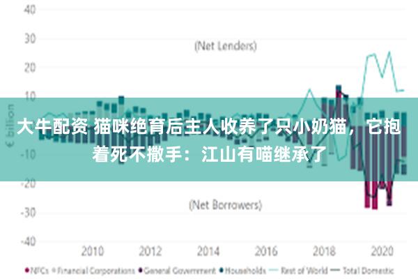 大牛配资 猫咪绝育后主人收养了只小奶猫，它抱着死不撒手：江山有喵继承了