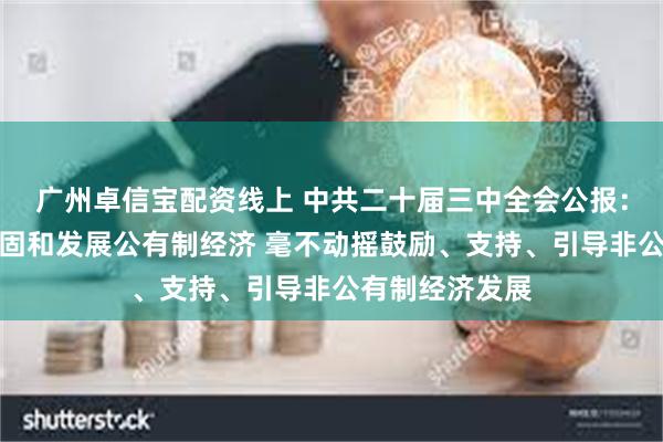 广州卓信宝配资线上 中共二十届三中全会公报：要毫不动摇巩固和发展公有制经济 毫不动摇鼓励、支持、引导非公有制经济发展