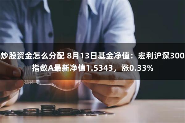 炒股资金怎么分配 8月13日基金净值：宏利沪深300指数A最新净值1.5343，涨0.33%