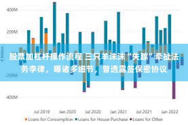 股票加杠杆操作流程 三只羊沫沫“失踪”牵扯法务李律，曝诸多细节，曾透露签保密协议