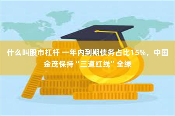 什么叫股市杠杆 一年内到期债务占比15%，中国金茂保持“三道红线”全绿