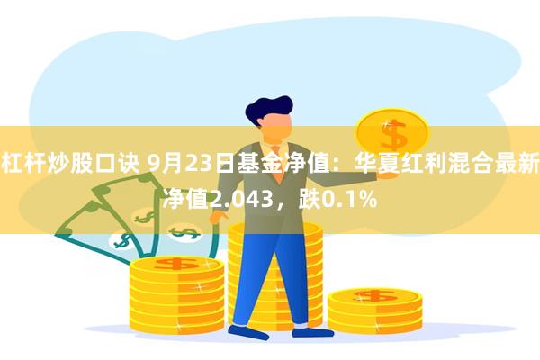 杠杆炒股口诀 9月23日基金净值：华夏红利混合最新净值2.043，跌0.1%