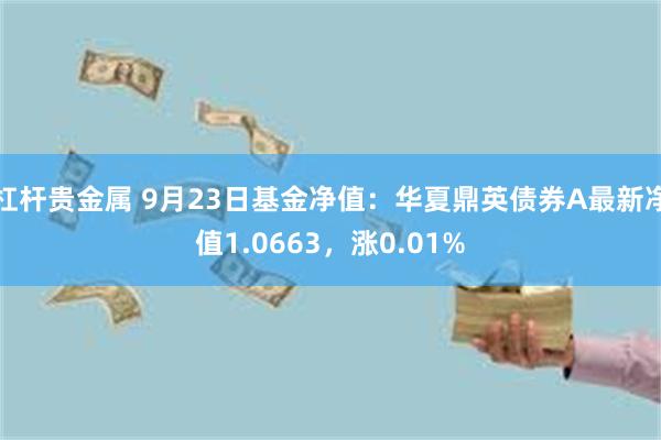 杠杆贵金属 9月23日基金净值：华夏鼎英债券A最新净值1.0663，涨0.01%