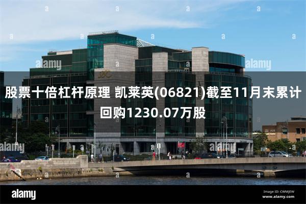 股票十倍杠杆原理 凯莱英(06821)截至11月末累计回购1230.07万股