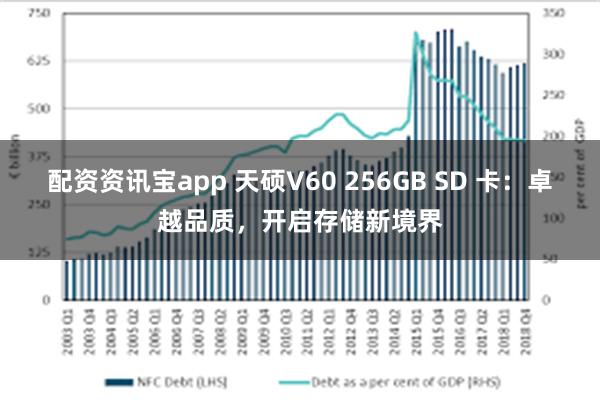 配资资讯宝app 天硕V60 256GB SD 卡：卓越品质，开启存储新境界